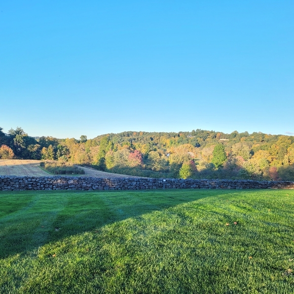 Meet your Posher, Lena - Picture 8 of 10